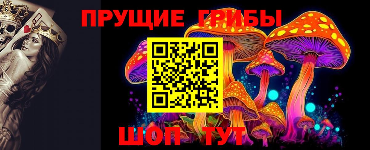 Псилоцибиновые грибы мухоморы Рязань